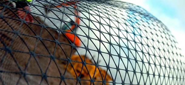 Construction site viewed through a silt fence. 
