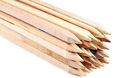Tree Stakes